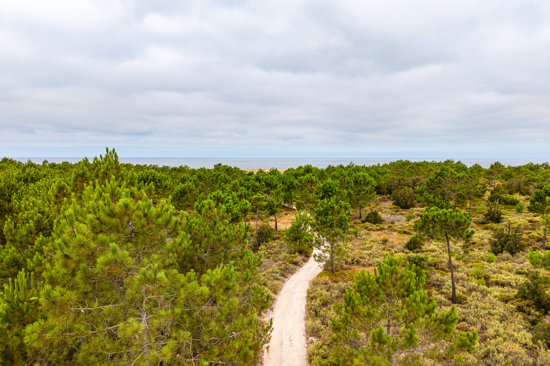  Real Estate for Sale - 物件實景