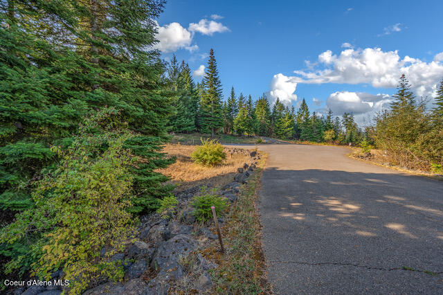 Harrison, Idaho, 83833, United States, ,Residential,For Sale,1958033