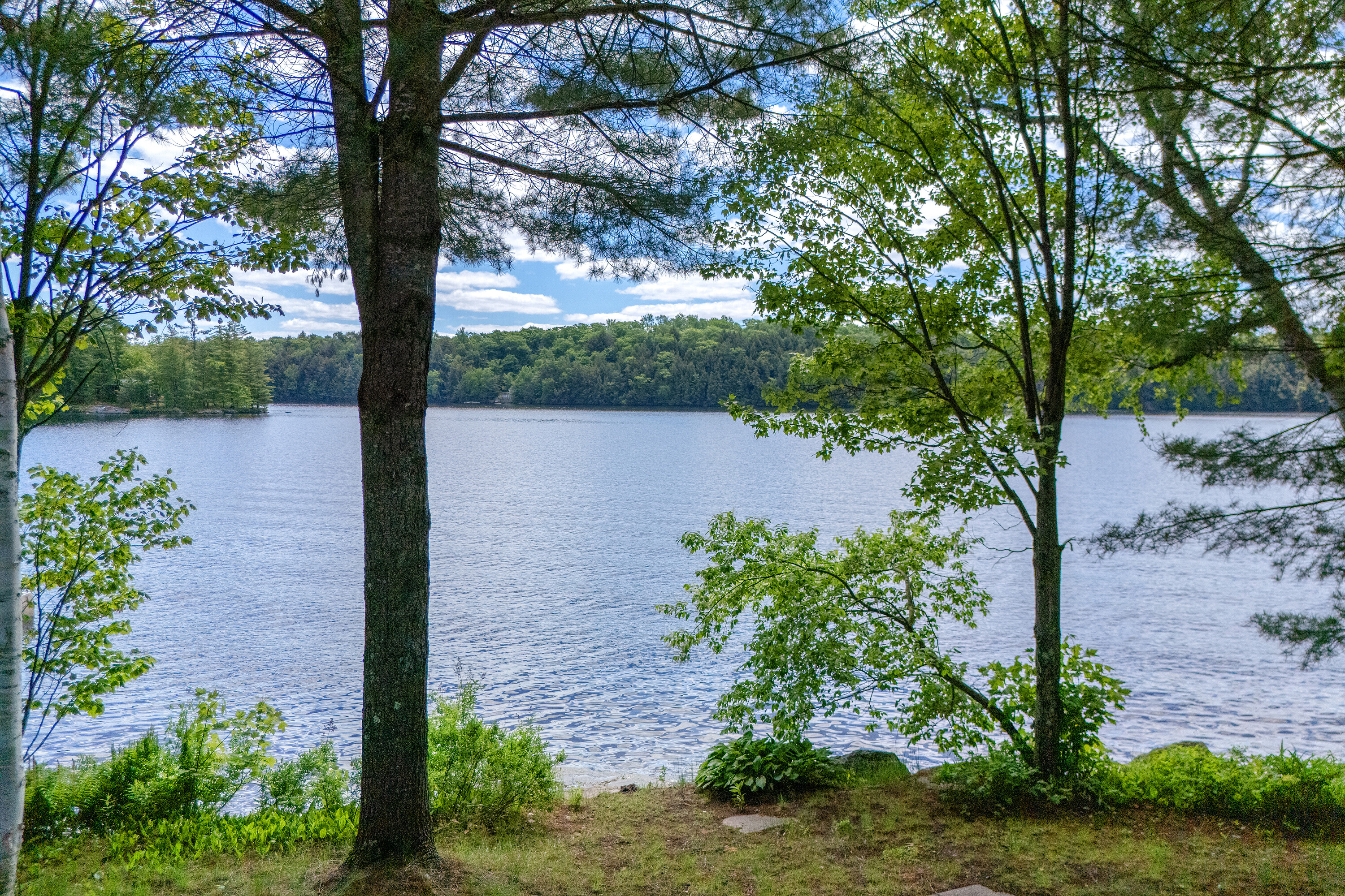  Spacious Healey Lake Cottage - 物件實景