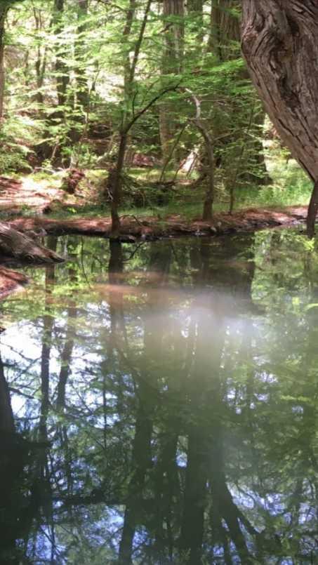 CONOCIDO NOMBRE DE DIOS DURANGO, Nombre de Dios, Durango, 34840, Mexico, 1 Bedroom Bedrooms, ,Residential,For Sale,CONOCIDO NOMBRE DE DIOS DURANGO,1627562