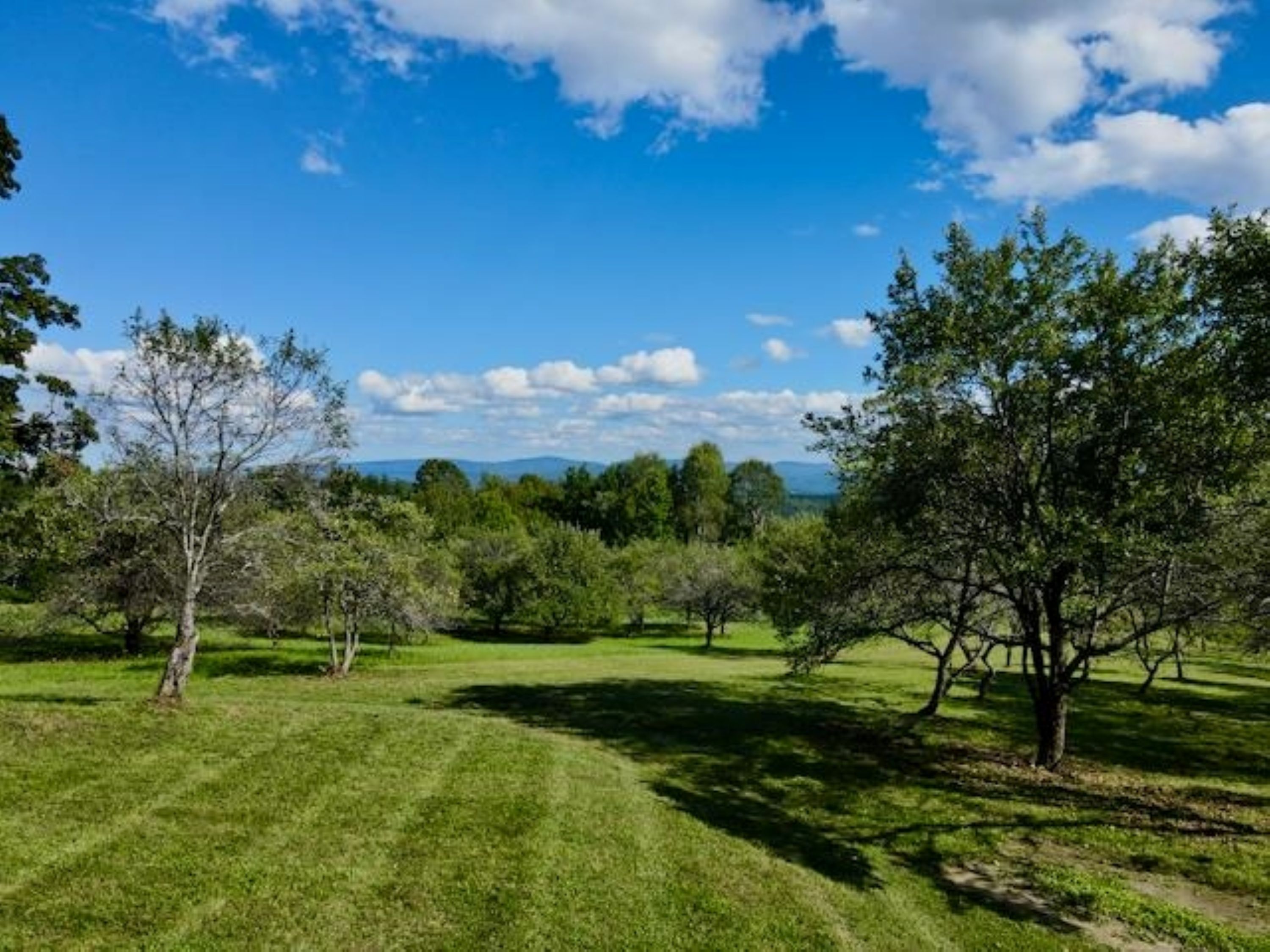 232 Town Farm Hill Road - 物件實景