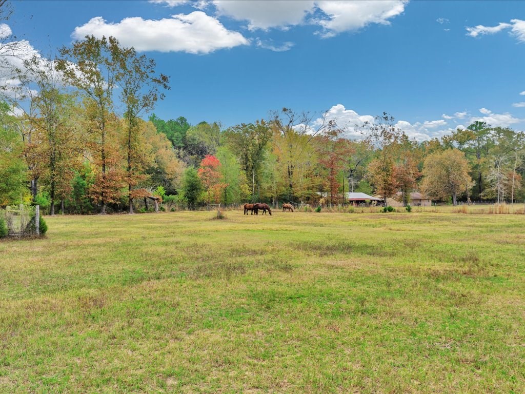 Lufkin, Texas, 75901, United States, 3 Bedrooms Bedrooms, ,2 BathroomsBathrooms,Residential,For Sale,1996440