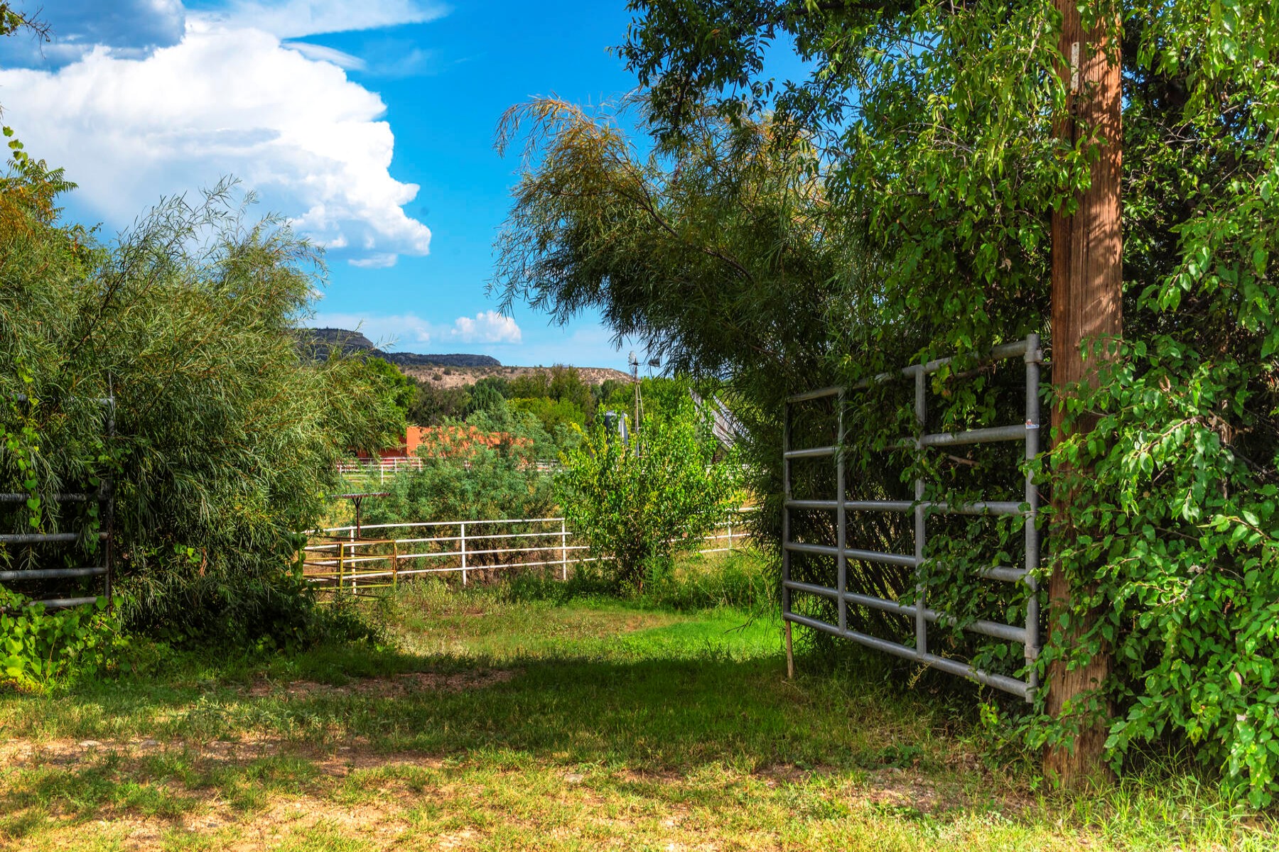  425 W Mesa Lane¦Camp Verde, AZ - 物件實景