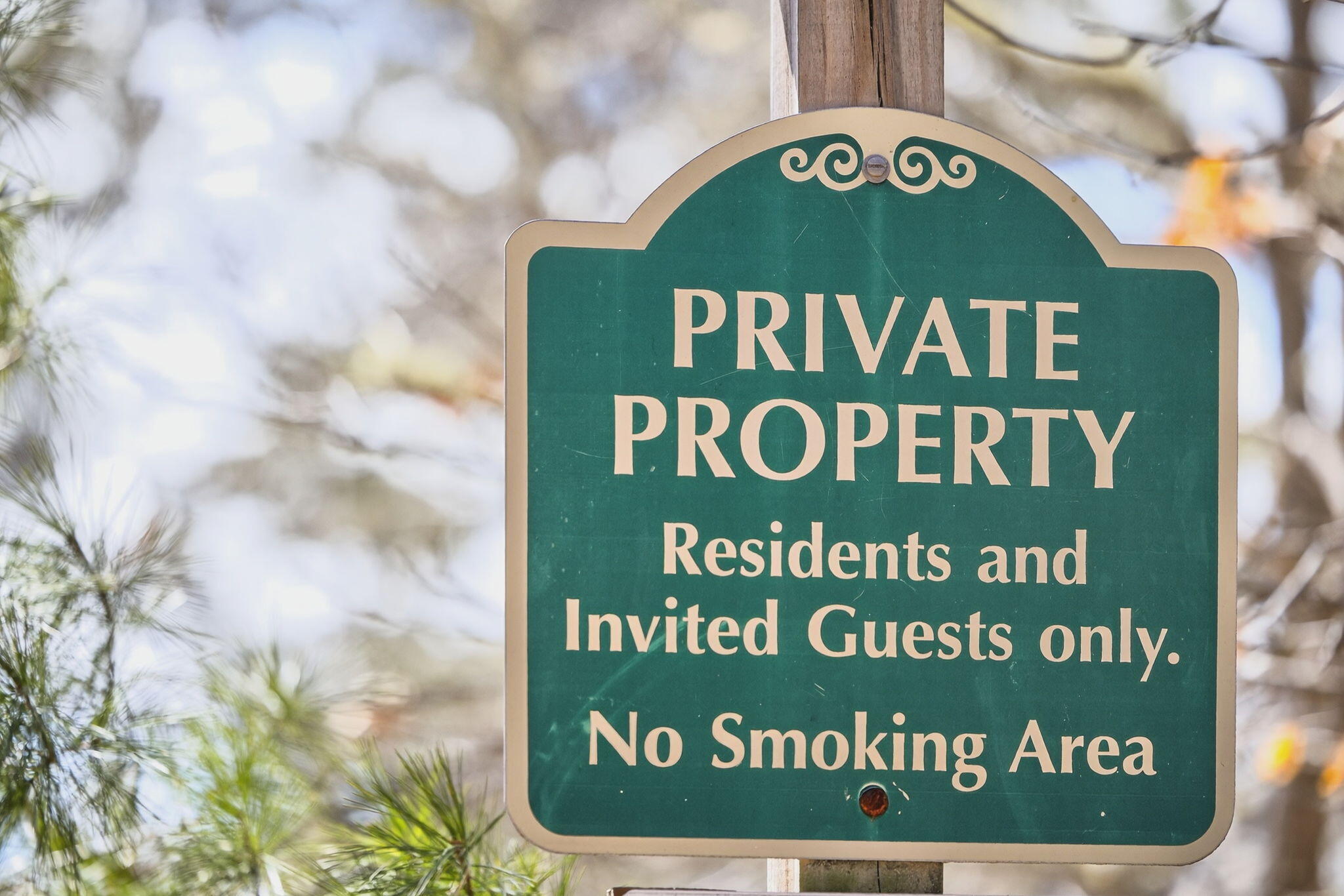  186 Canoe Pond Drive, Brewster, MA, 02631 - 物件實景