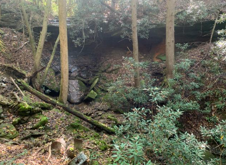 London, Kentucky, 40741, United States, ,Land,For Sale,1982608