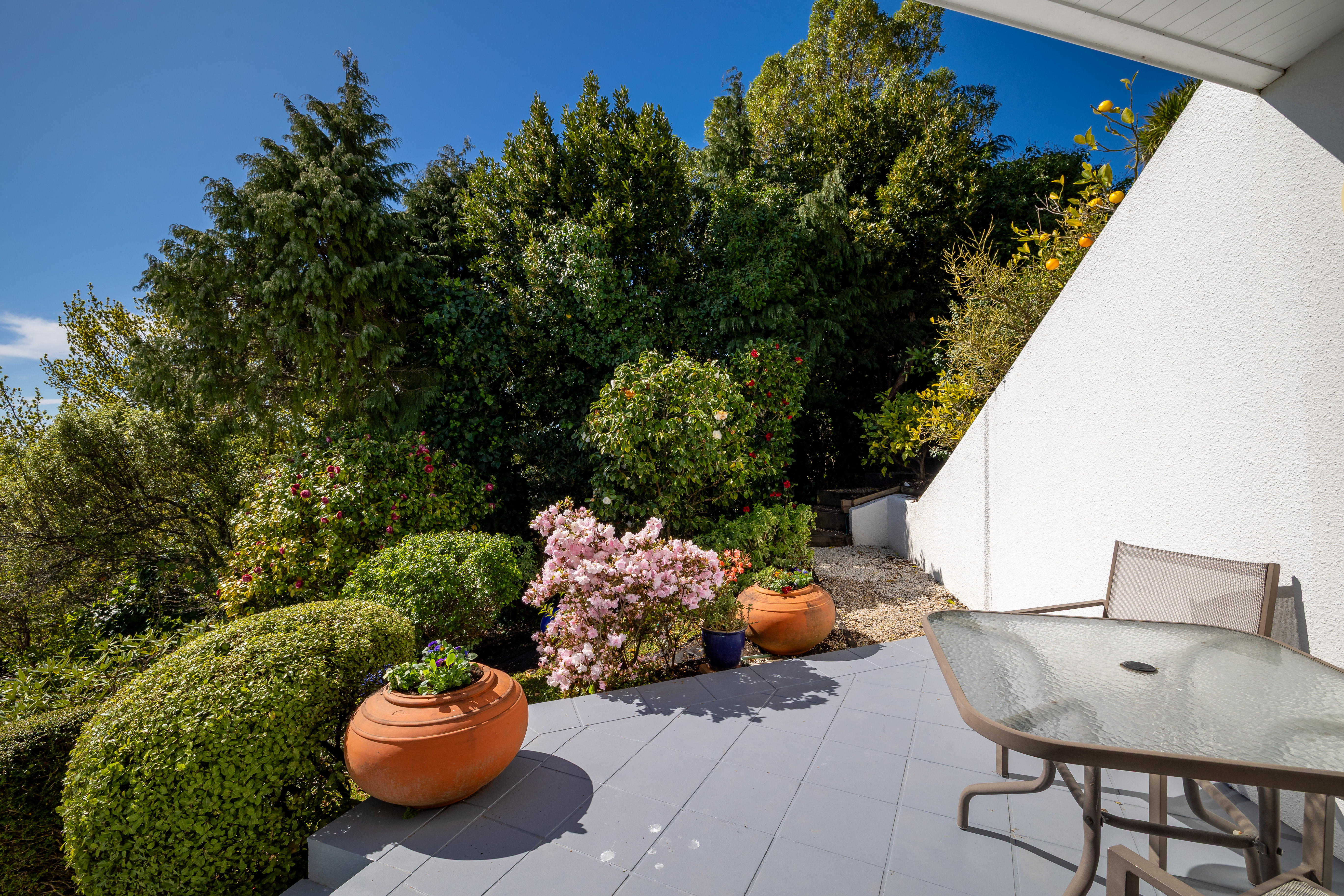  29 Whitby Road, Britannia Heights, Nelson - 物件實景