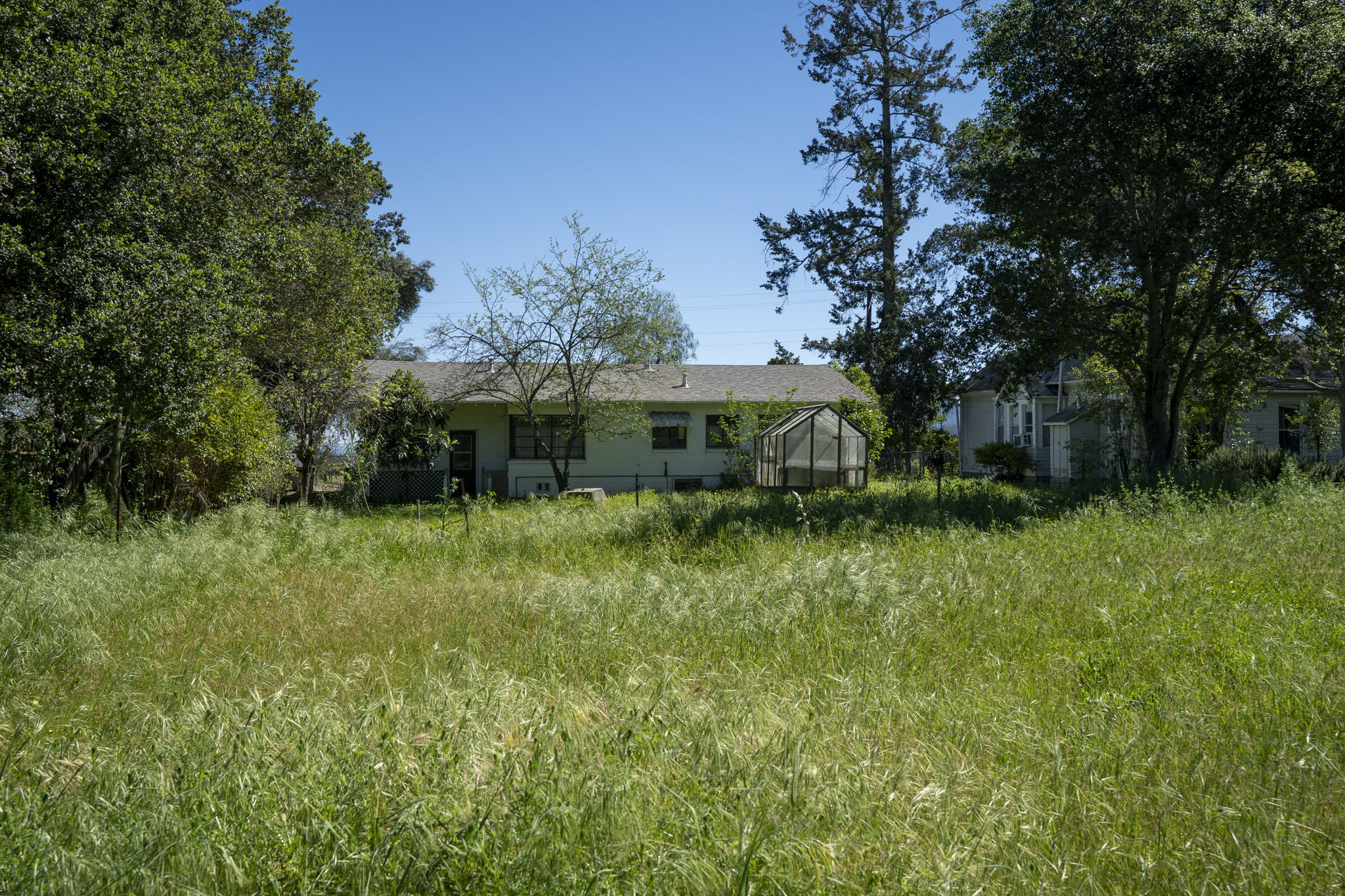  1446 Sulphur Springs Ave - Saint Helena - 物件實景