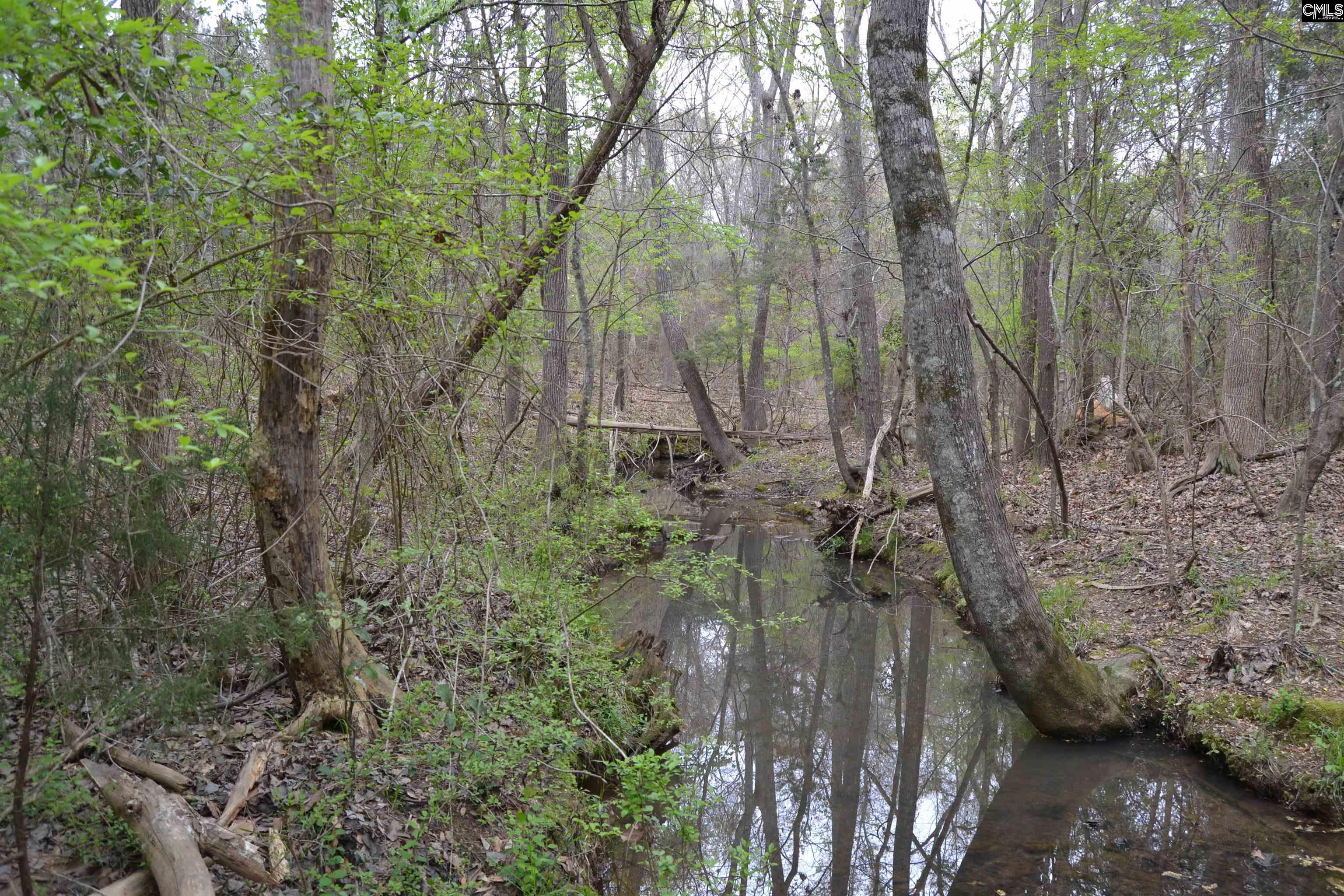  1309 Farming Creek Road  Irmo, South Carolina - 物件實景