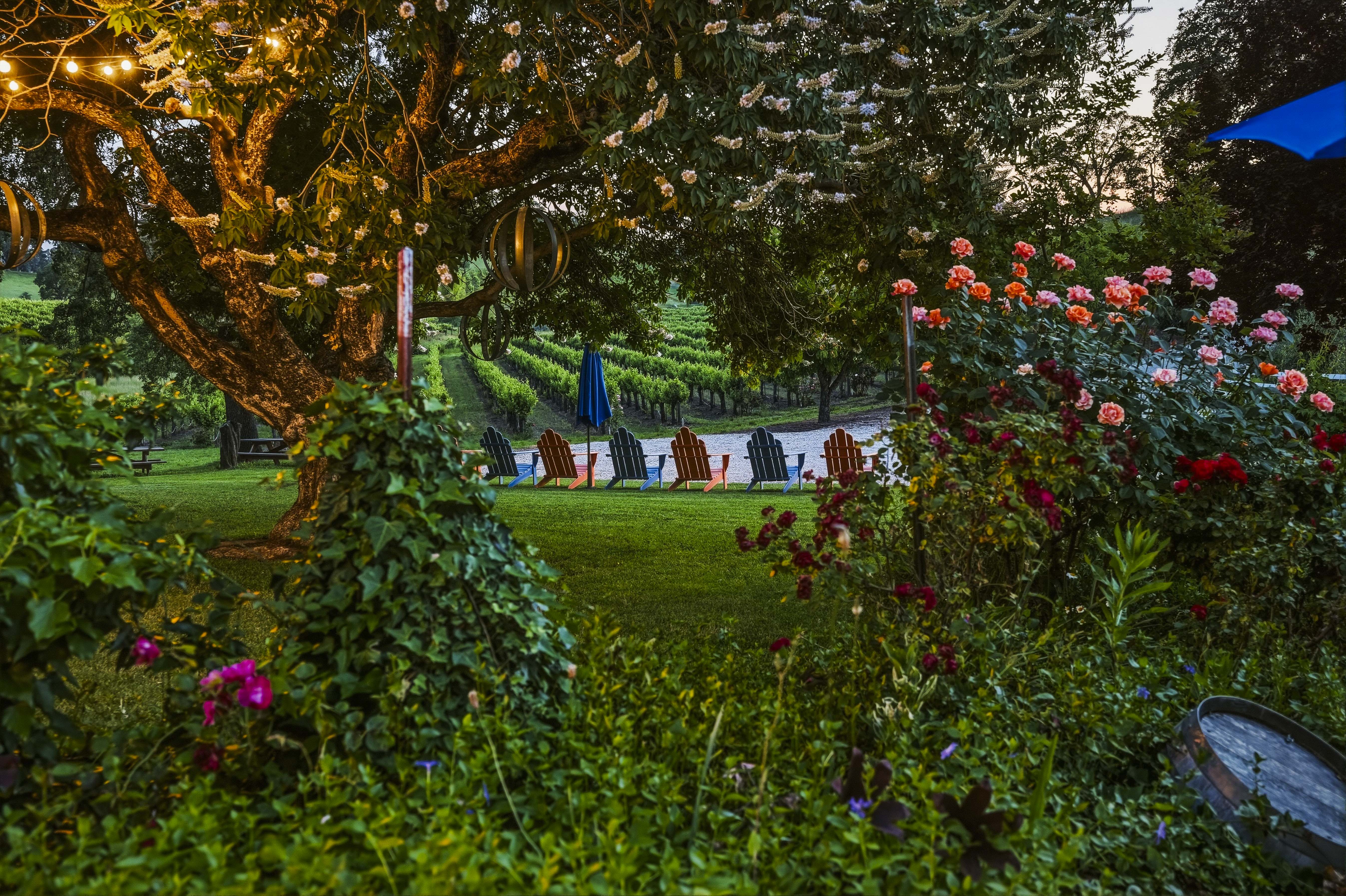  10120 Shenandoah Road, Plymouth, CA 95669 - 物件實景
