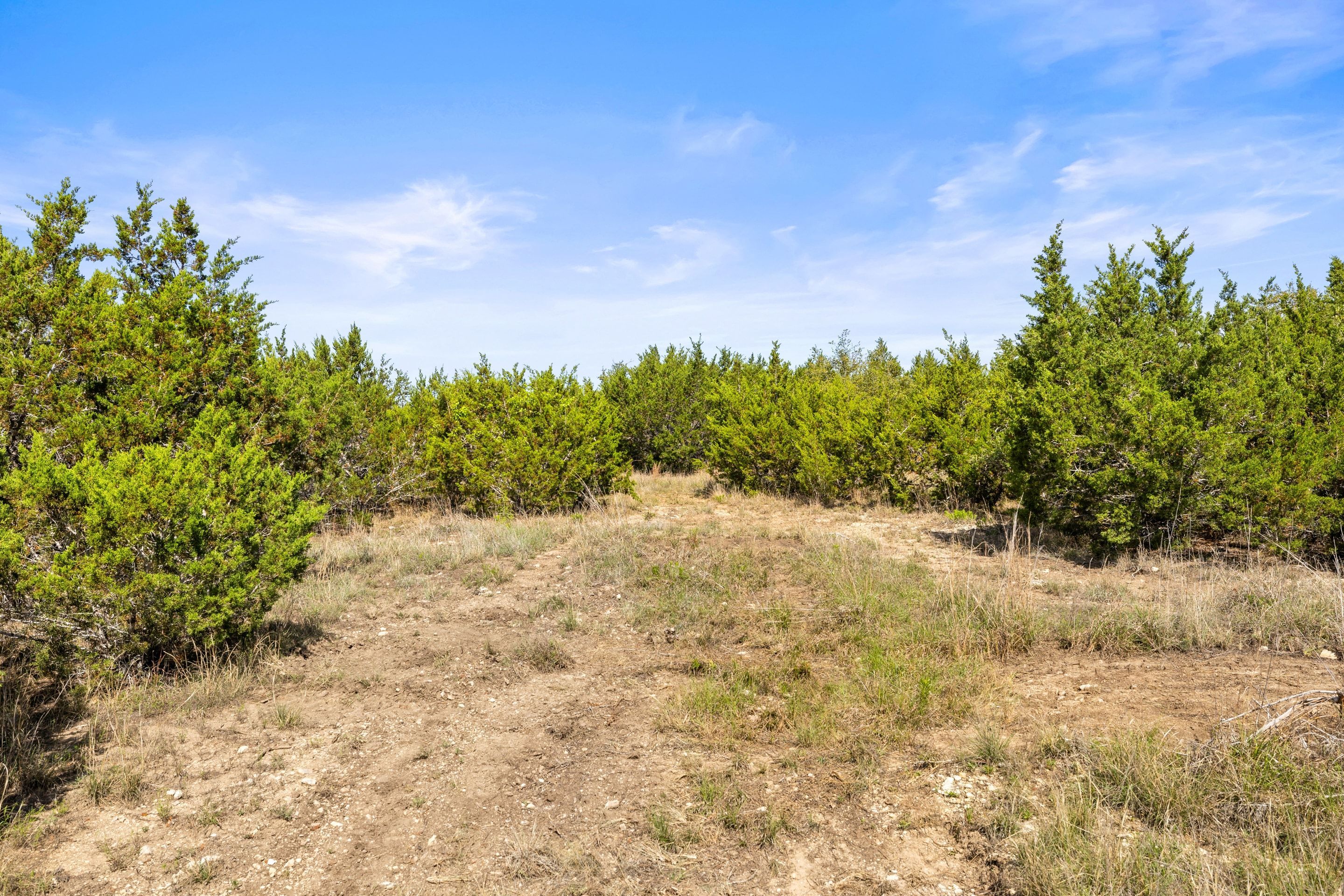  83 S Flat Rock Way - 5 Acre Lot in Gated Legacy Hills - 物件實景