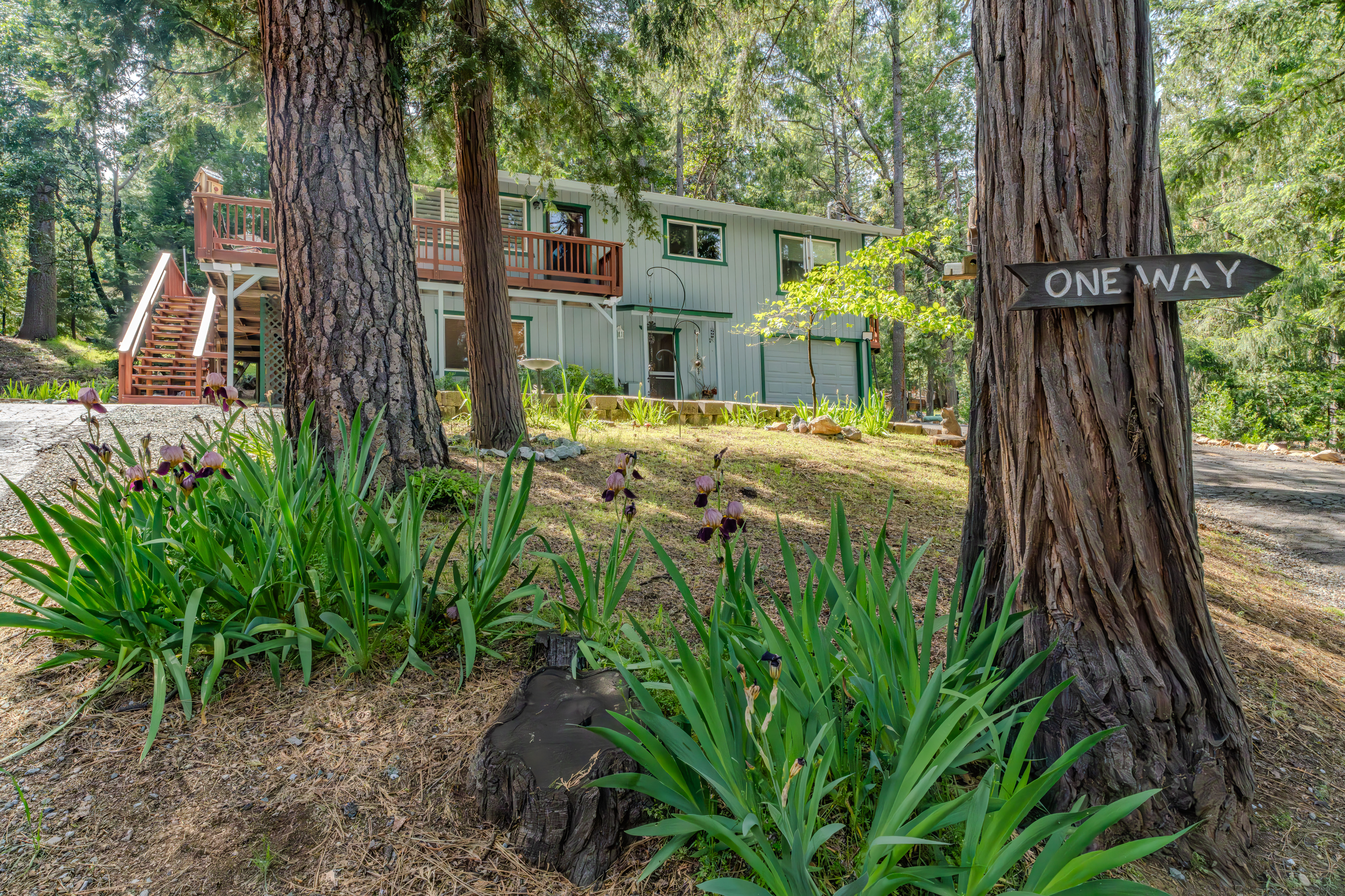  16775 Silver Drive South, Pioneer, CA 95666 - 物件實景