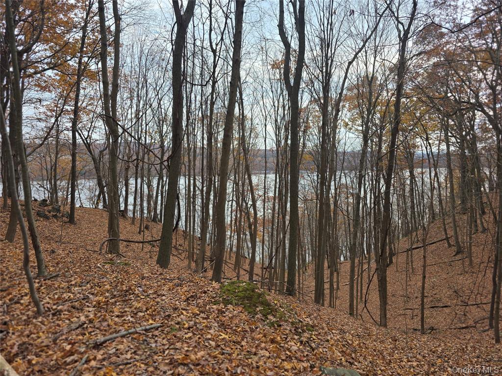 Highland, New York, 12528, United States, ,Residential,For Sale,1989942