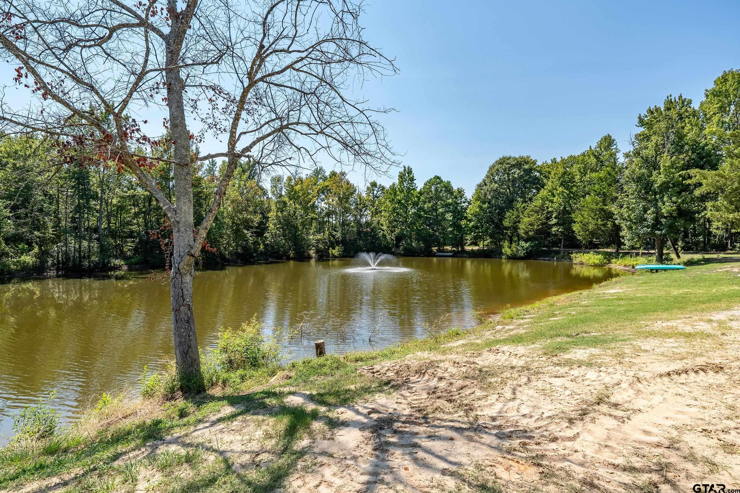 Mineola, Texas, 75773, United States, 3 Bedrooms Bedrooms, ,3 BathroomsBathrooms,Residential,For Sale,1951277