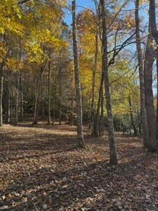 Murphy, North Carolina, 28906, United States, 4 Bedrooms Bedrooms, ,4 BathroomsBathrooms,Residential,For Sale,1989693