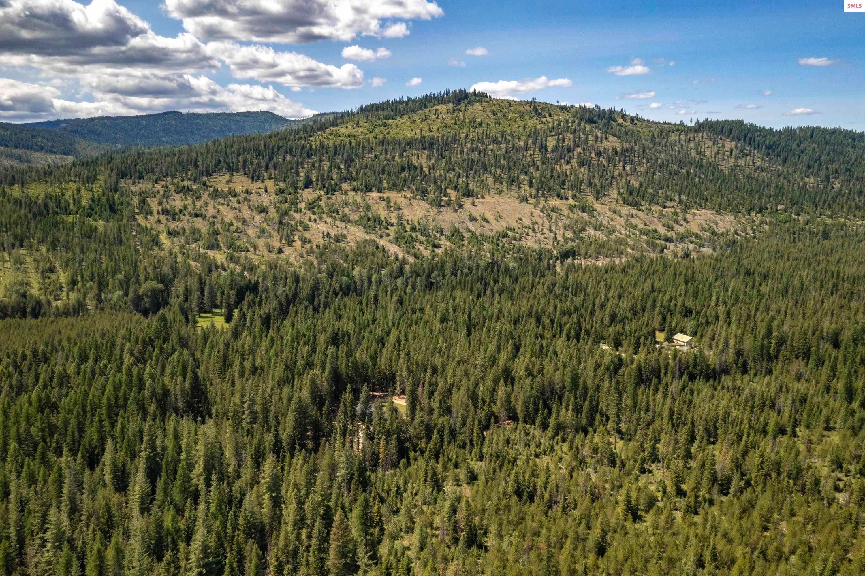 Priest River, Idaho, 83856, United States, 4 Bedrooms Bedrooms, ,Residential,For Sale,2025404