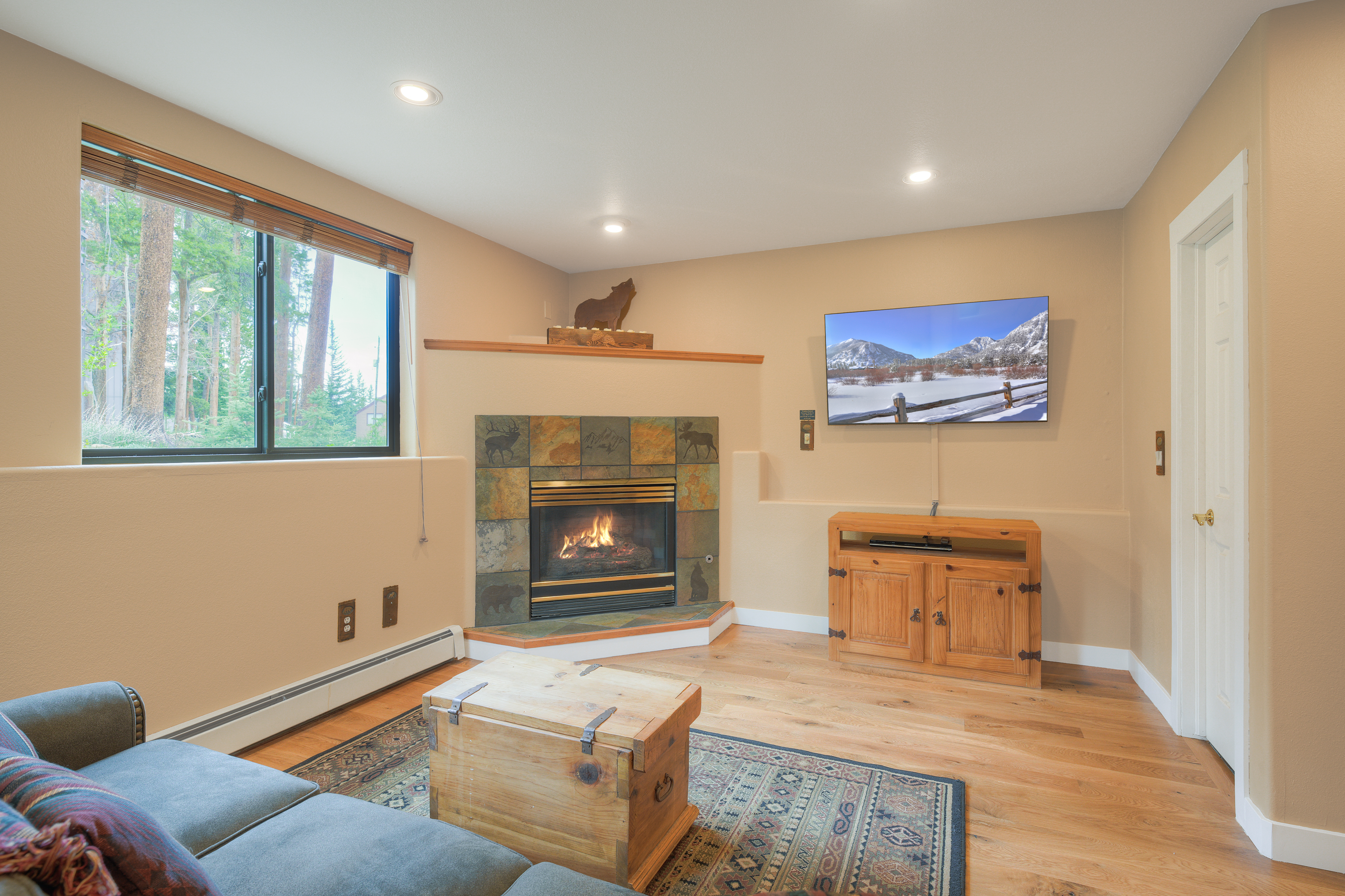  114 Park Forest Drive, Breckenridge, CO, 80424 - 物件實景