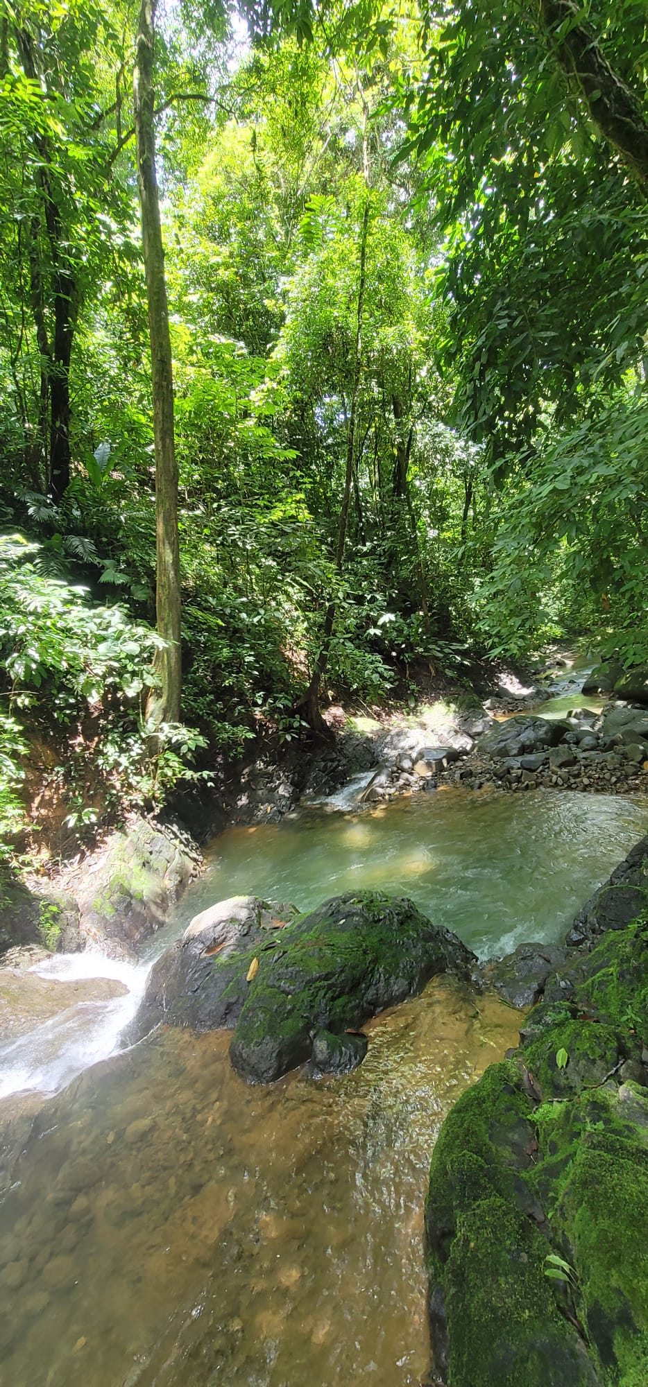Lot 78, Cinco Ventanas, Ojochal, Ojochal, Puntarenas, CR, 4 Bedrooms Bedrooms, ,5 BathroomsBathrooms,Residential,For Sale,Lot 78, Cinco Ventanas, Ojochal,1621380