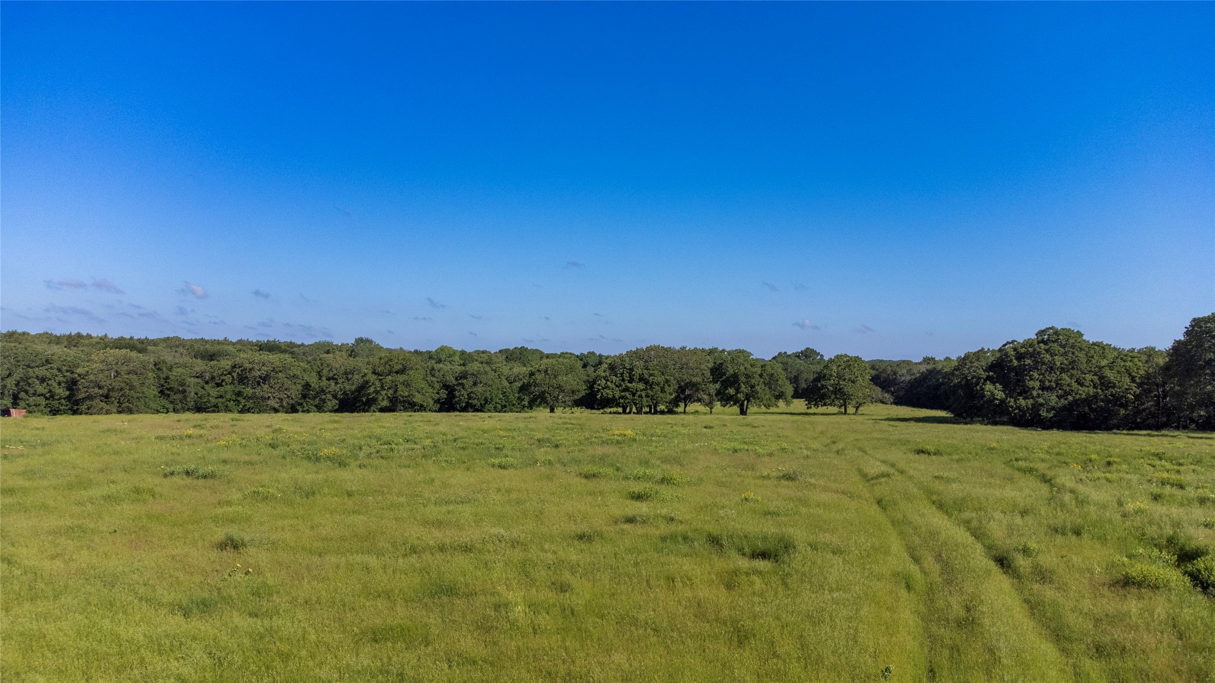 Sadler, Texas, 76264, United States, ,Land,For Sale,1837426