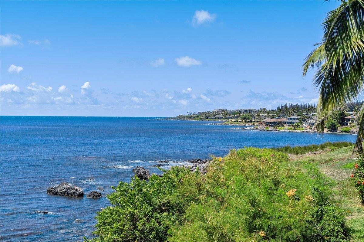 20 HUI RD I, Lahaina, Hawaii, 96761, United States, 3 Bedrooms Bedrooms, ,3 BathroomsBathrooms,Residential,For Sale,20 HUI RD I,1611951