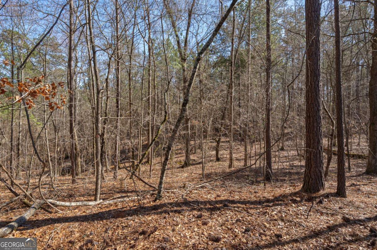 Loganville, Georgia, 30052, United States, ,Land,For Sale,1794790