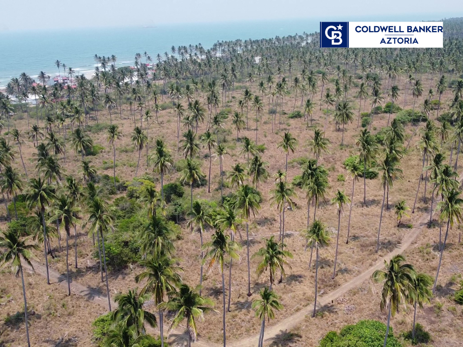 Paraíso, Tabasco, 86600, Mexico, 1 Bedroom Bedrooms, ,Residential,For Sale,1692782