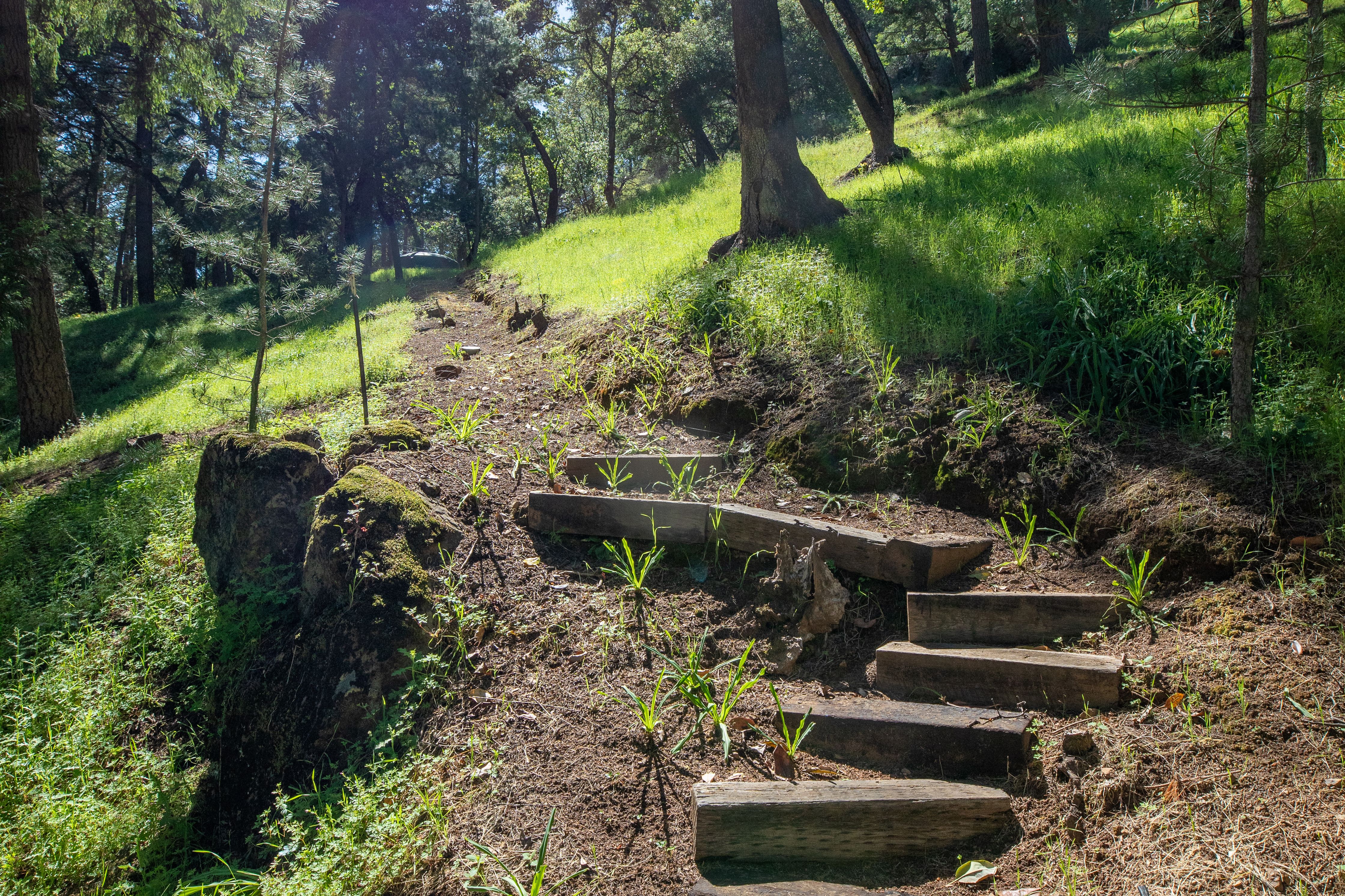  18900 Armstrong Woods Road, Guerneville, CA 95446 - 物件實景