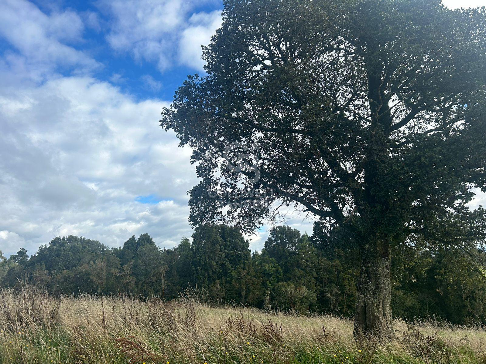 Puerto Varas, Chile, ,Residential,For Sale,2003315