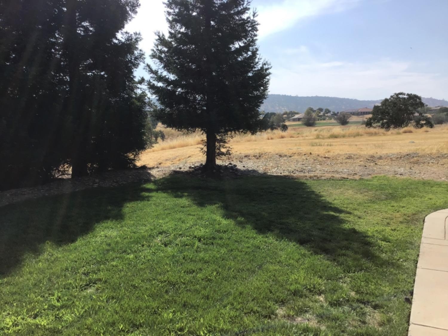 205 Quail Meadow Lane, Copperopolis, California, 95228, United States, 3 Bedrooms Bedrooms, ,3 BathroomsBathrooms,Residential,For Sale,205 Quail Meadow Lane,1664769