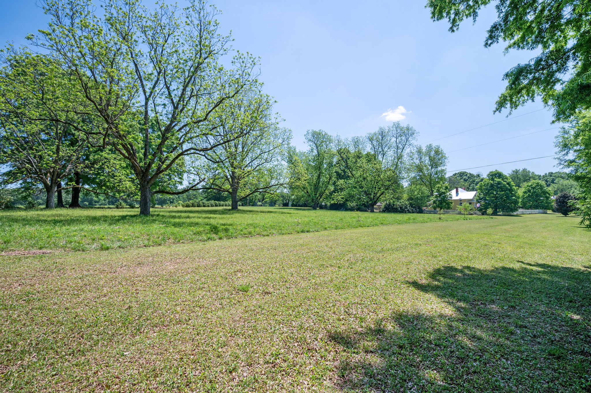  Southern Charm in Madison - 物件實景