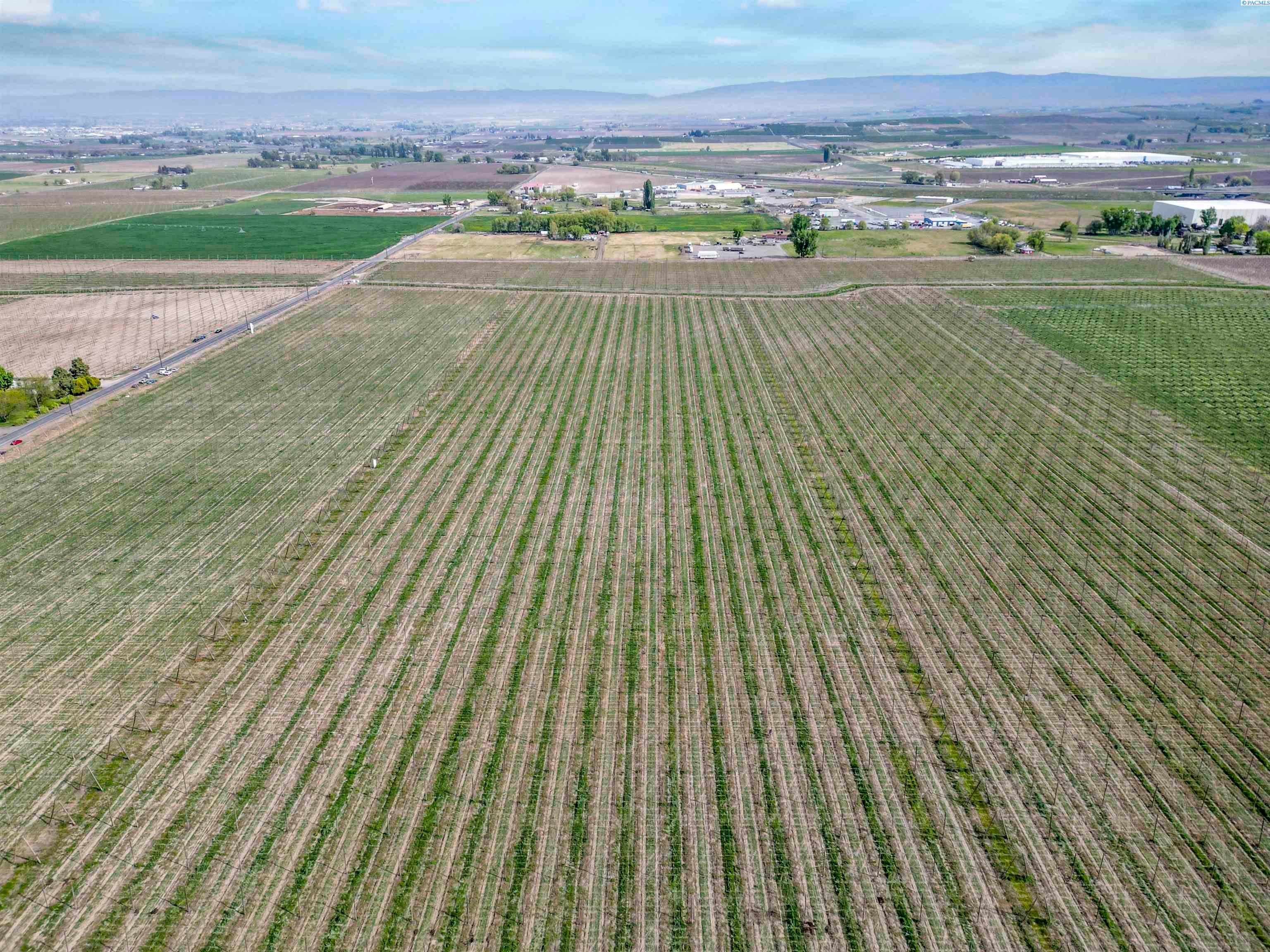 Grandview, Washington, 98930, United States, ,Land,For Sale,1976550