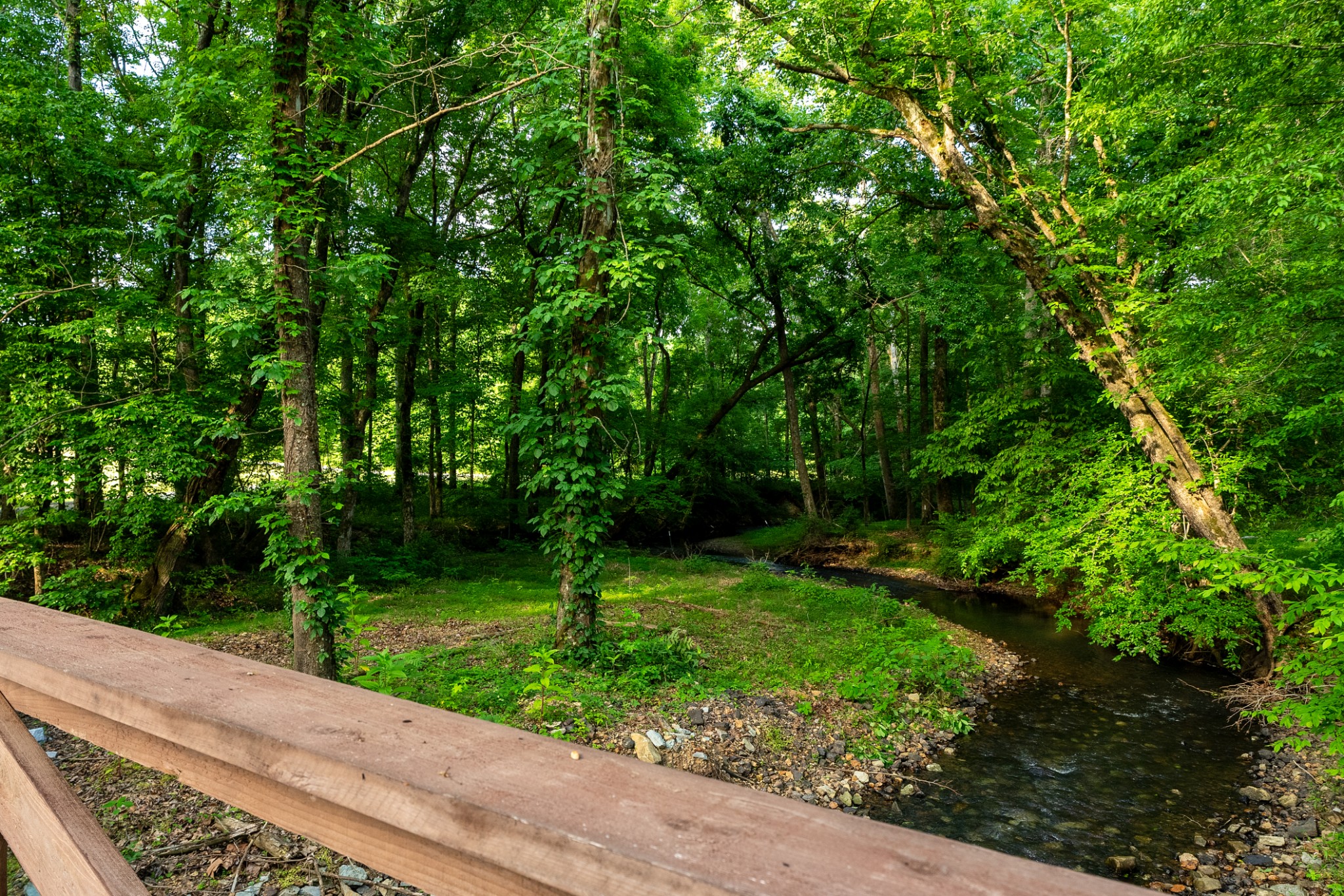  2133 Bear Creek Rd, Collinwood, TN, 38450 - 物件實景
