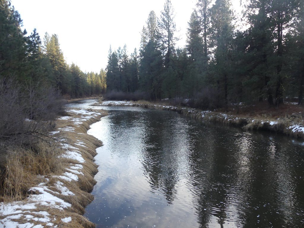 New Meadows, Idaho, 83654, United States, ,Land,For Sale,2005639