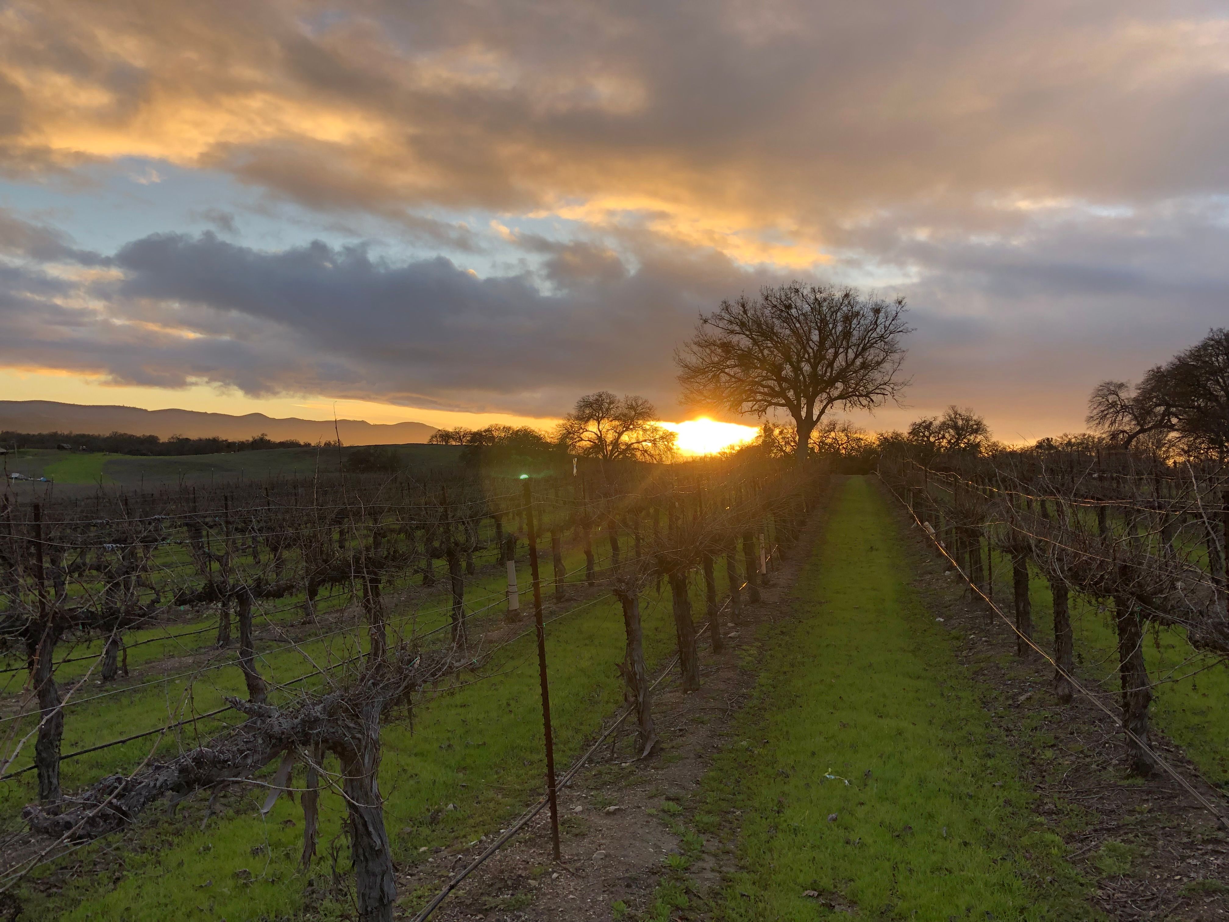  A Life Among The Vines - 物件實景