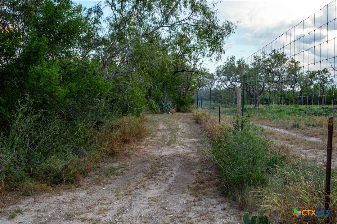 000 CR376, George West, Texas, 78022, United States, ,Land,For Sale,000 CR376,1676850