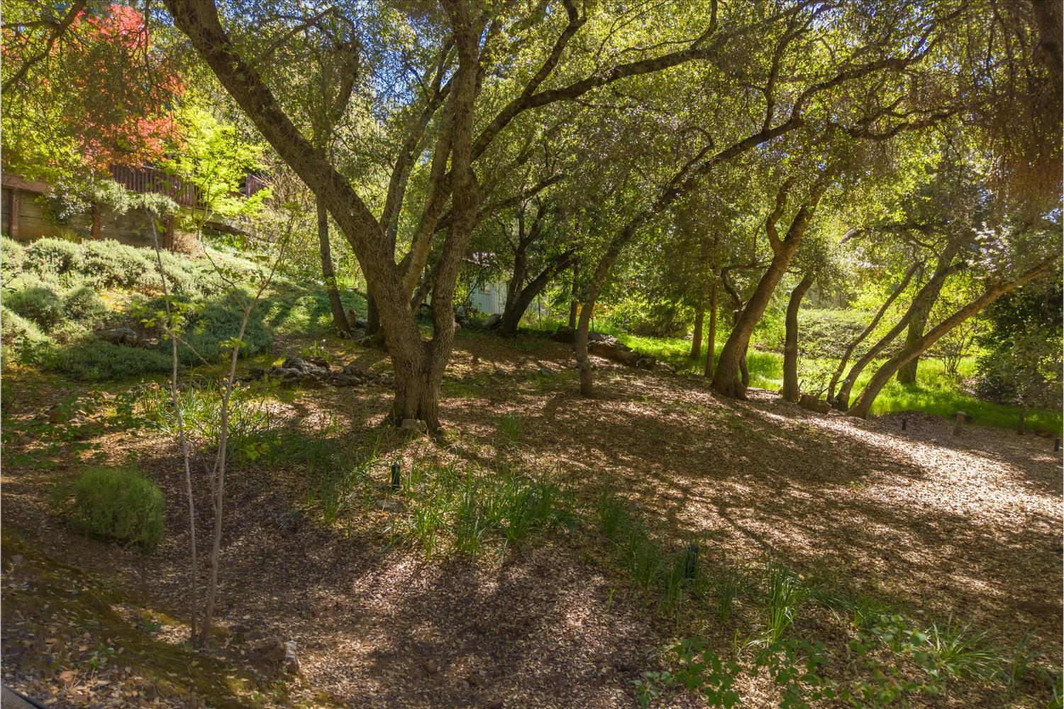Murphys, California, 95247, United States, 3 Bedrooms Bedrooms, ,4 BathroomsBathrooms,Residential,For Sale,2030734