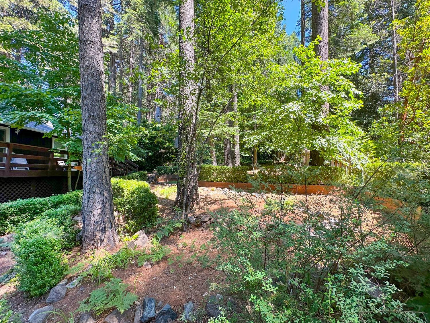 Nevada City, California, 95959, United States, 3 Bedrooms Bedrooms, ,2 BathroomsBathrooms,Residential,For Sale,1988605