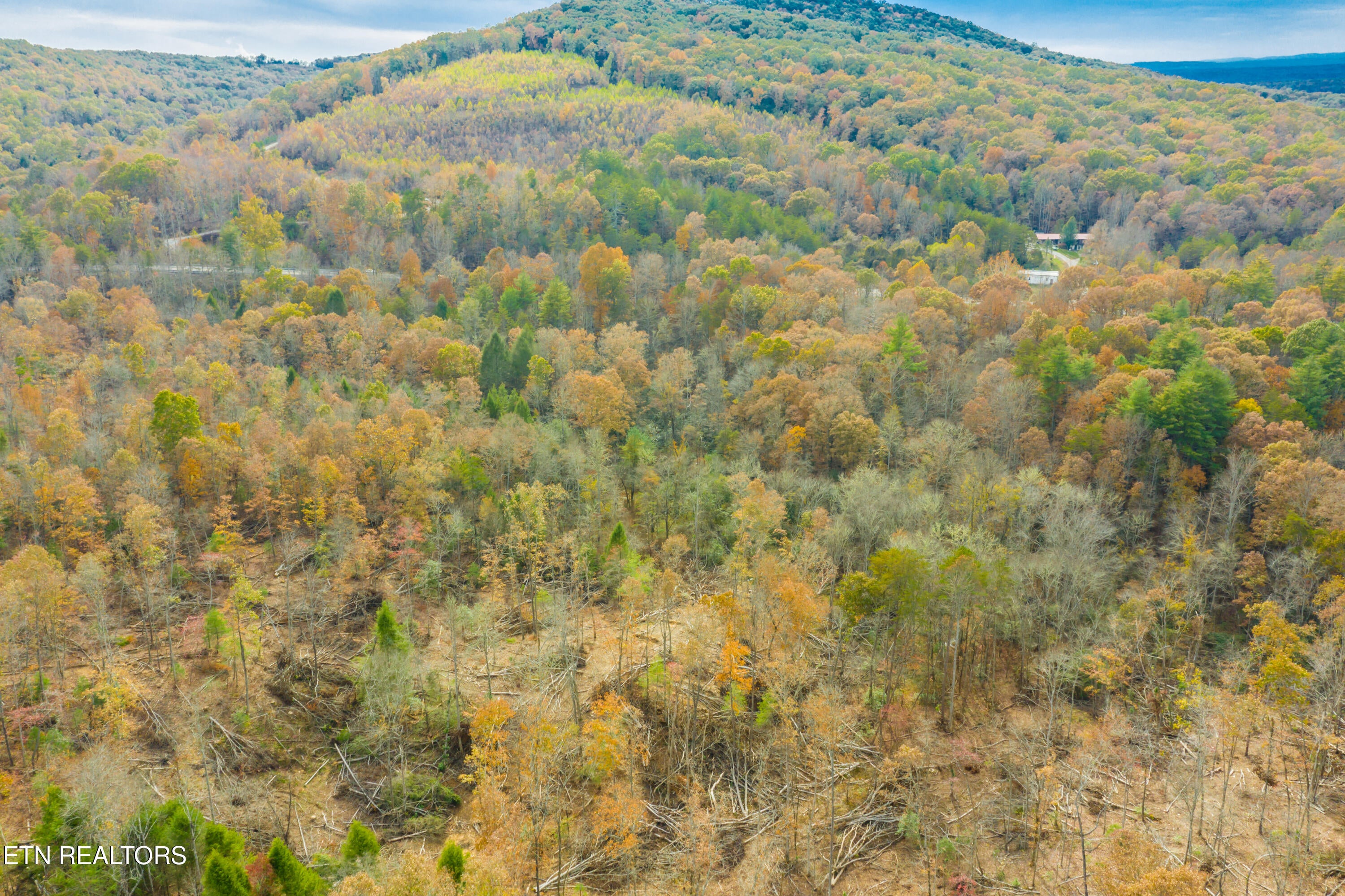Rockwood, Tennessee, 37854, United States, ,Land,For Sale,1806468