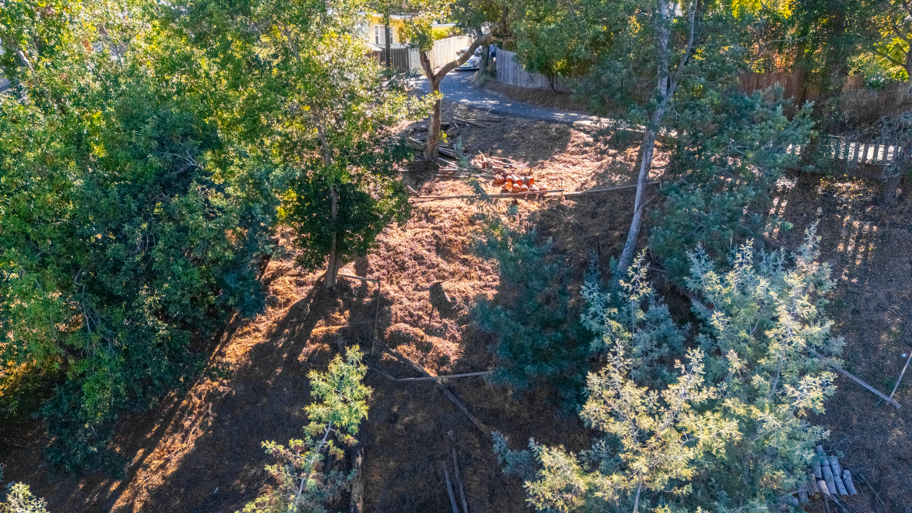  Exceptional Mill Valley Lot with Expired Approved Plans - 物件實景