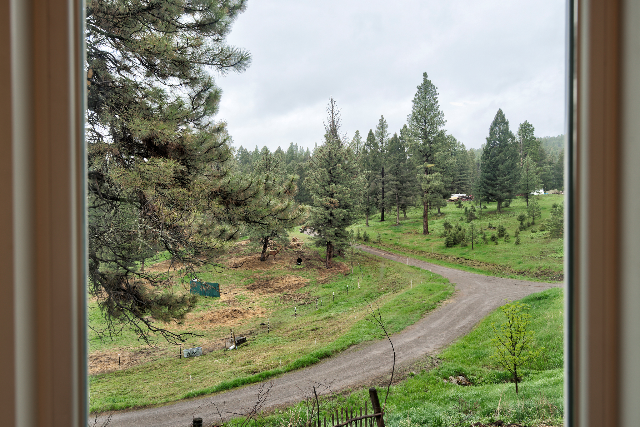 Helmville, Montana, 59743, United States, 3 Bedrooms Bedrooms, ,4 BathroomsBathrooms,Residential,For Sale,1975948