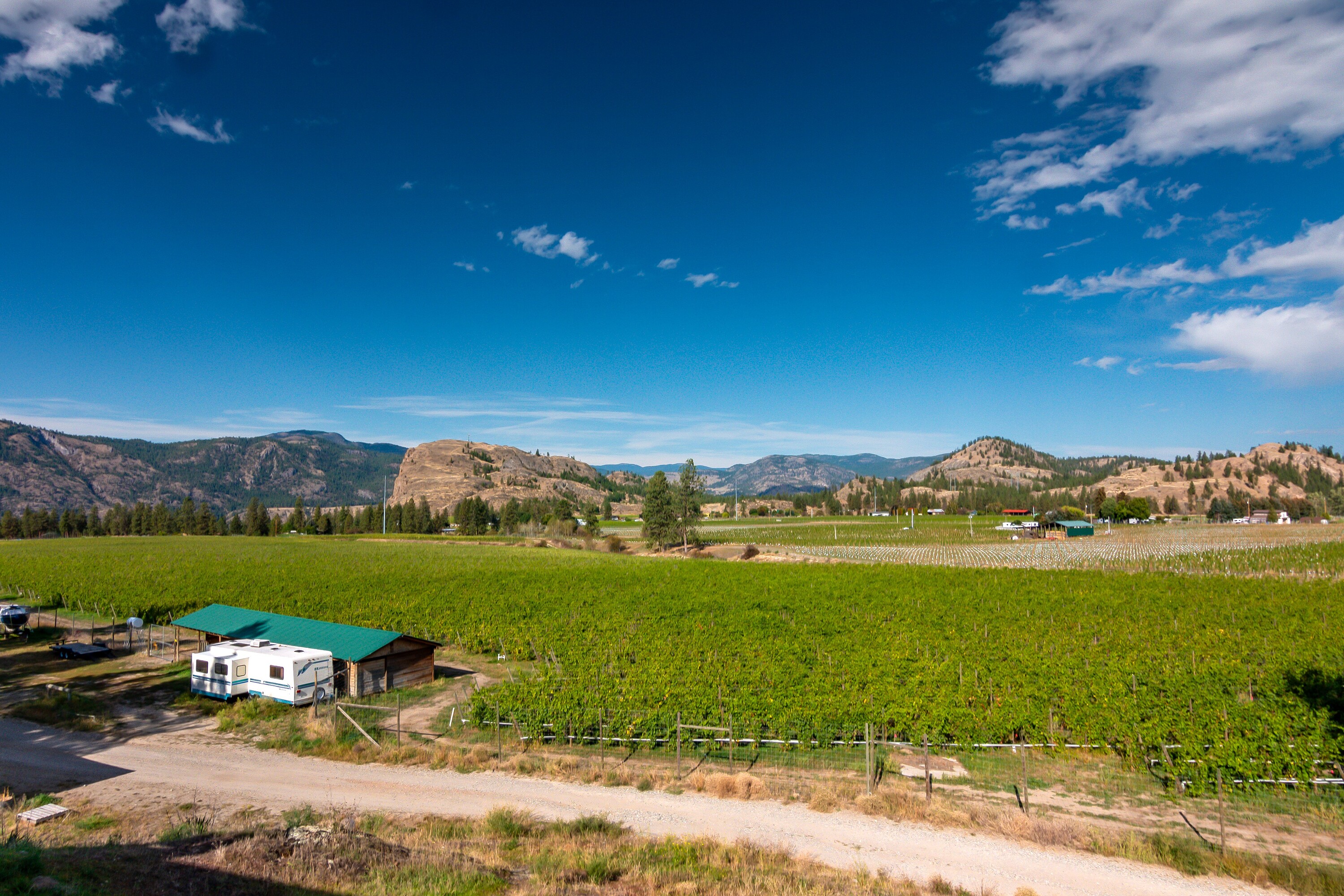  Vineyard in Okanagan Falls - 物件實景