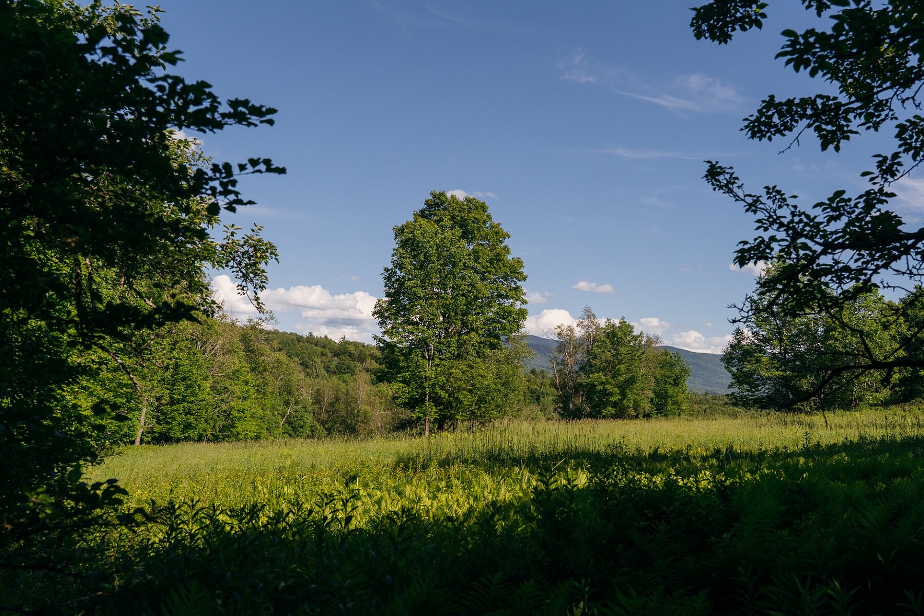  Sutton, Eastern Townships - 物件實景