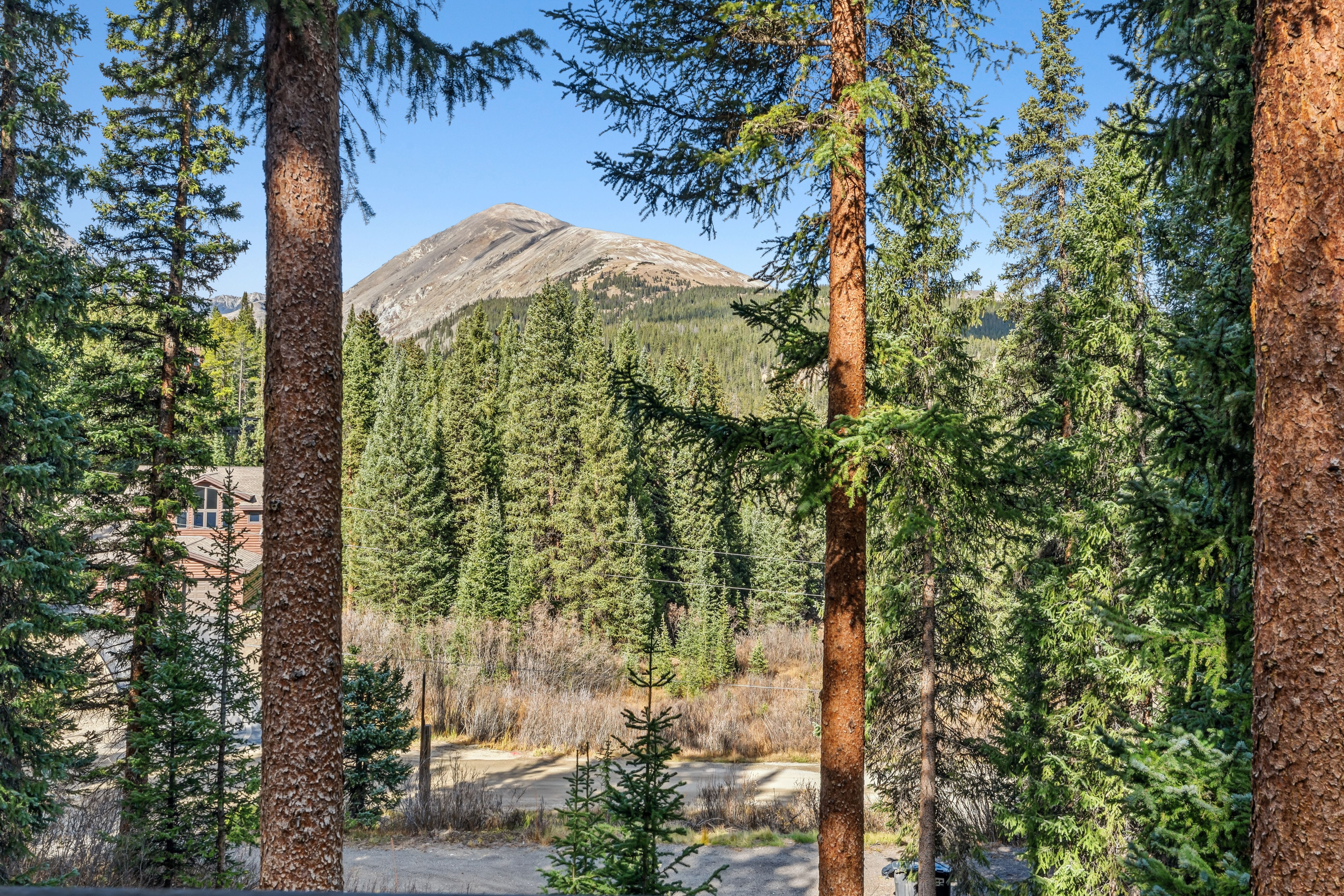  Cozy Cabin 1/2 Acre Backing to National Forest and Minutes from Main Street - 物件實景