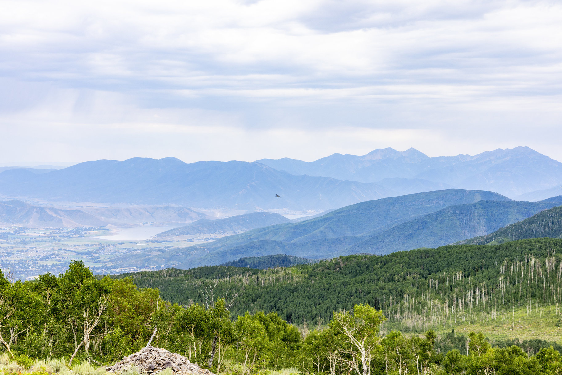  24 Acre Development Parcel in Bonanza Flats - 物件實景