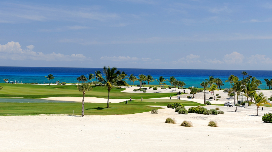 Cap Cana, DO, 5 Bedrooms Bedrooms, ,6 BathroomsBathrooms,Residential,For Sale,1993460