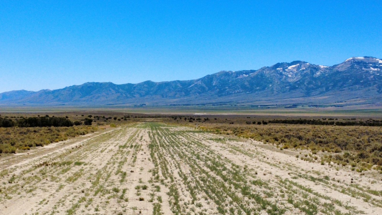 Wells, Nevada, 89835, United States, 2 Bedrooms Bedrooms, ,2 BathroomsBathrooms,Residential,For Sale,1891414