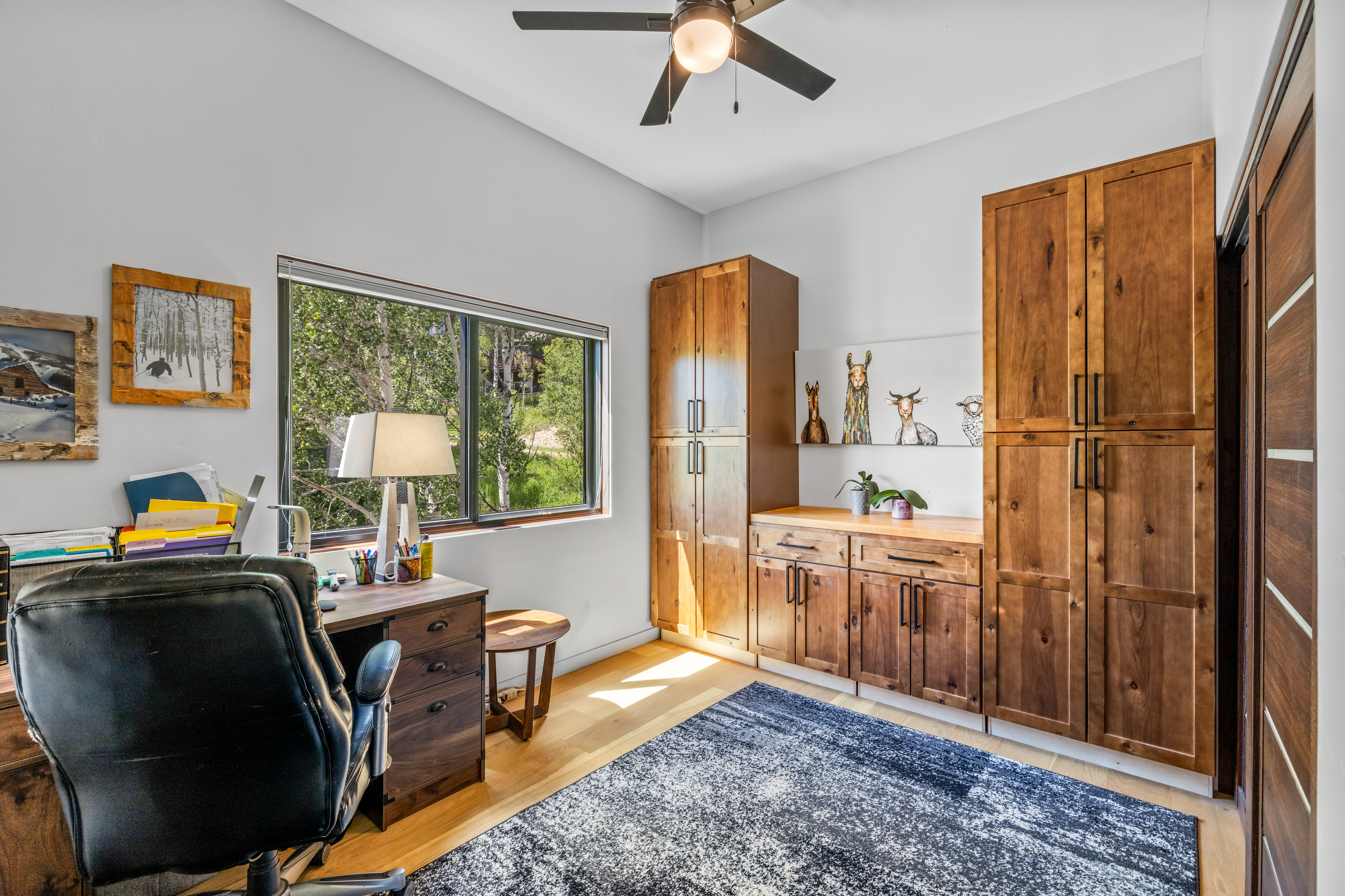  29946 Rock Point Trail, Oak Creek, CO, 80467 - 物件實景