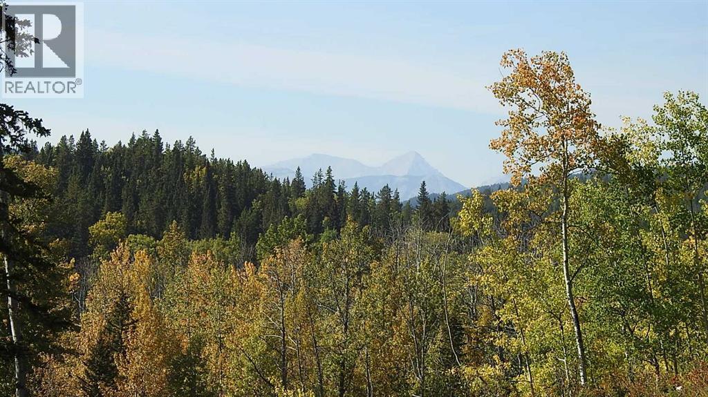 RURAL FOOTHILLS COUNTY, Alberta, T0L 1K0, CA, ,Residential,For Sale,1947264