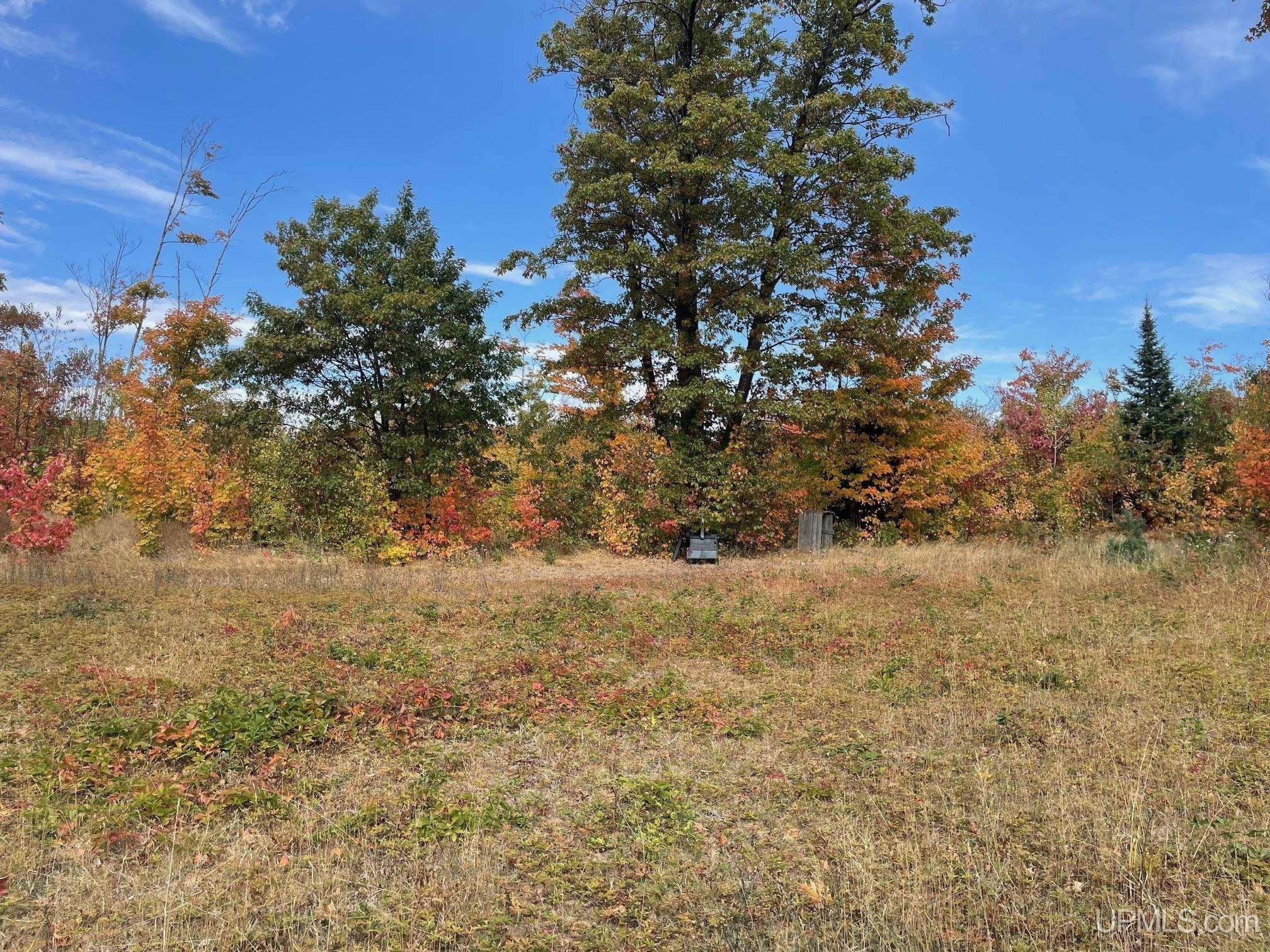 Ishpeming, Michigan, 49849, United States, ,Land,For Sale,2017731