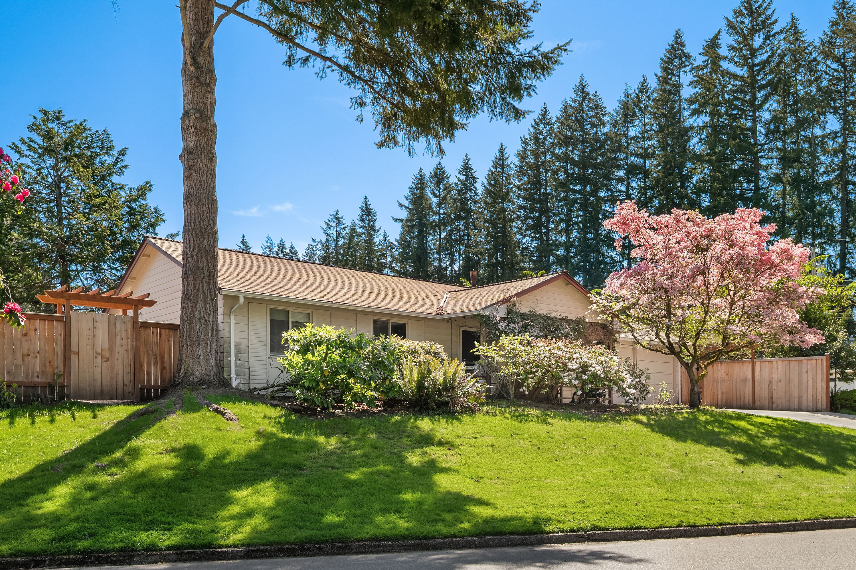  1260 168th Ave NE, Bellevue, WA 98008 - 物件實景