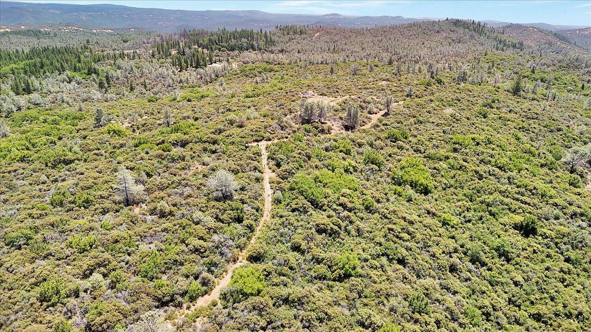 Oregon House, California, 95962, United States, ,Land,For Sale,1975767